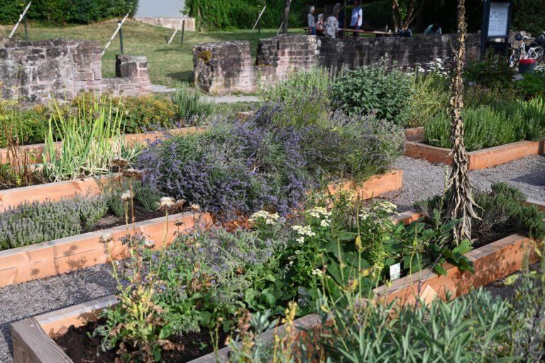 Neue Beetumfassungen