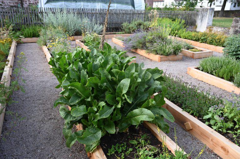 Neue Beetumfassungen