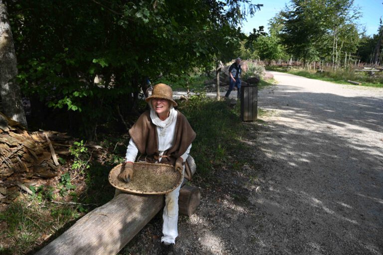 Alte Gerstensorten werden wieder angebaut und zum Bierbrauen verwendet