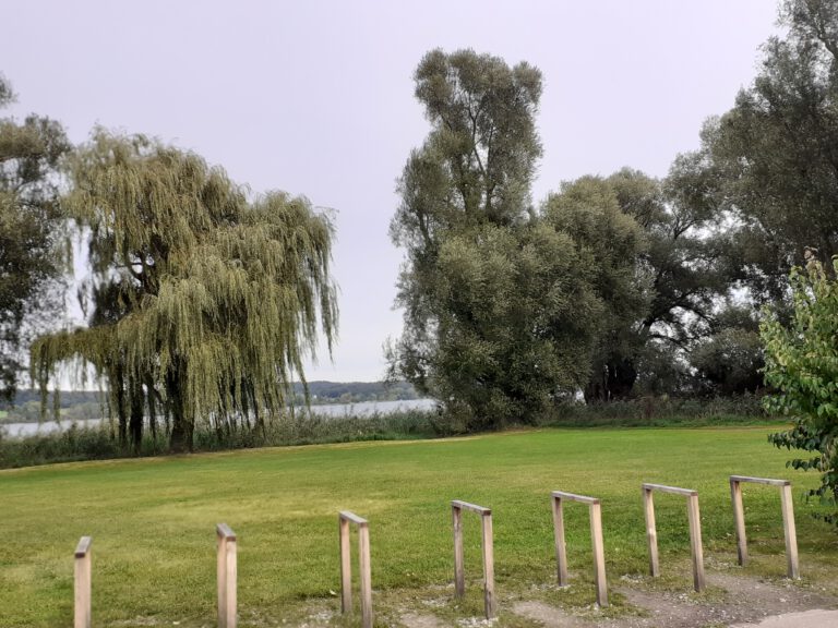 Impressionen von der Reichenau